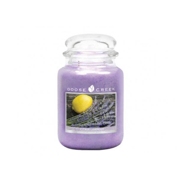 Ароматическая свеча GOOSE CREEK Citrus Lavender 150ч ES26276-vol