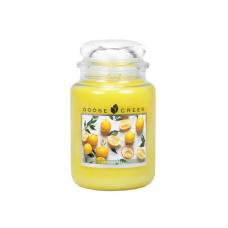 Ароматическая свеча GOOSE CREEK Lemon Peel 150ч ES24625-vol