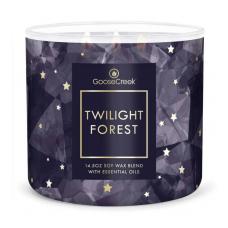 Ароматическая свеча GOOSE CREEK Twilight Forest 35ч VD15868-vol