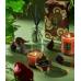 Ароматическая свеча Voluspa Forbidden Fig 25ч 72425-vol