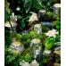 Ароматическая свеча Voluspa Yashioka Gardenia 100ч 7265-vol