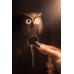 Держатель для ключей Qualy Night Owl коричневый QL10195-BN
