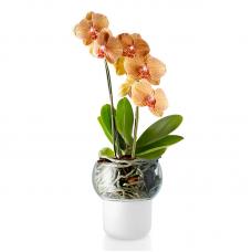 Самополивающий горшок для орхидеи Eva Solo Orchid Pot Self-Watering D13
