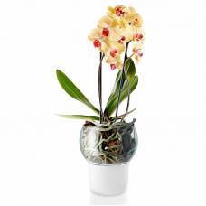 Самополивающий горшок для орхидеи Eva Solo Orchid Pot Self-Watering D15