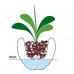 Горшок для орхидеи Eva Solo Orchid Pot White 568240