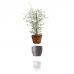 Горшок для растений Eva Solo Self-Watering Flowerpot D13 Nordic Grey 568154