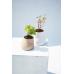Горшок цветочный Qualy Hill Pot, большой, белый QLX20002-WH