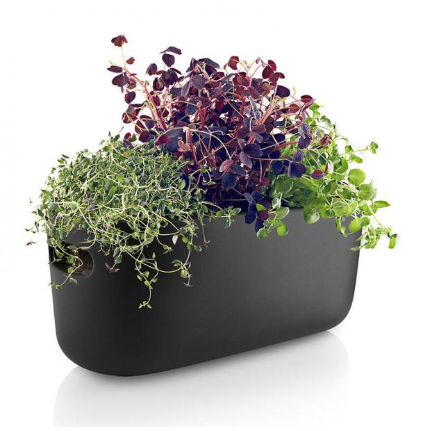 Кашпо для растений с функцией самополива Eva Solo Herb Organizer черное 568169