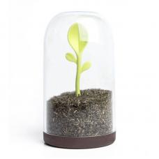 Контейнер для сыпучих продуктов Qualy Sprout Jar