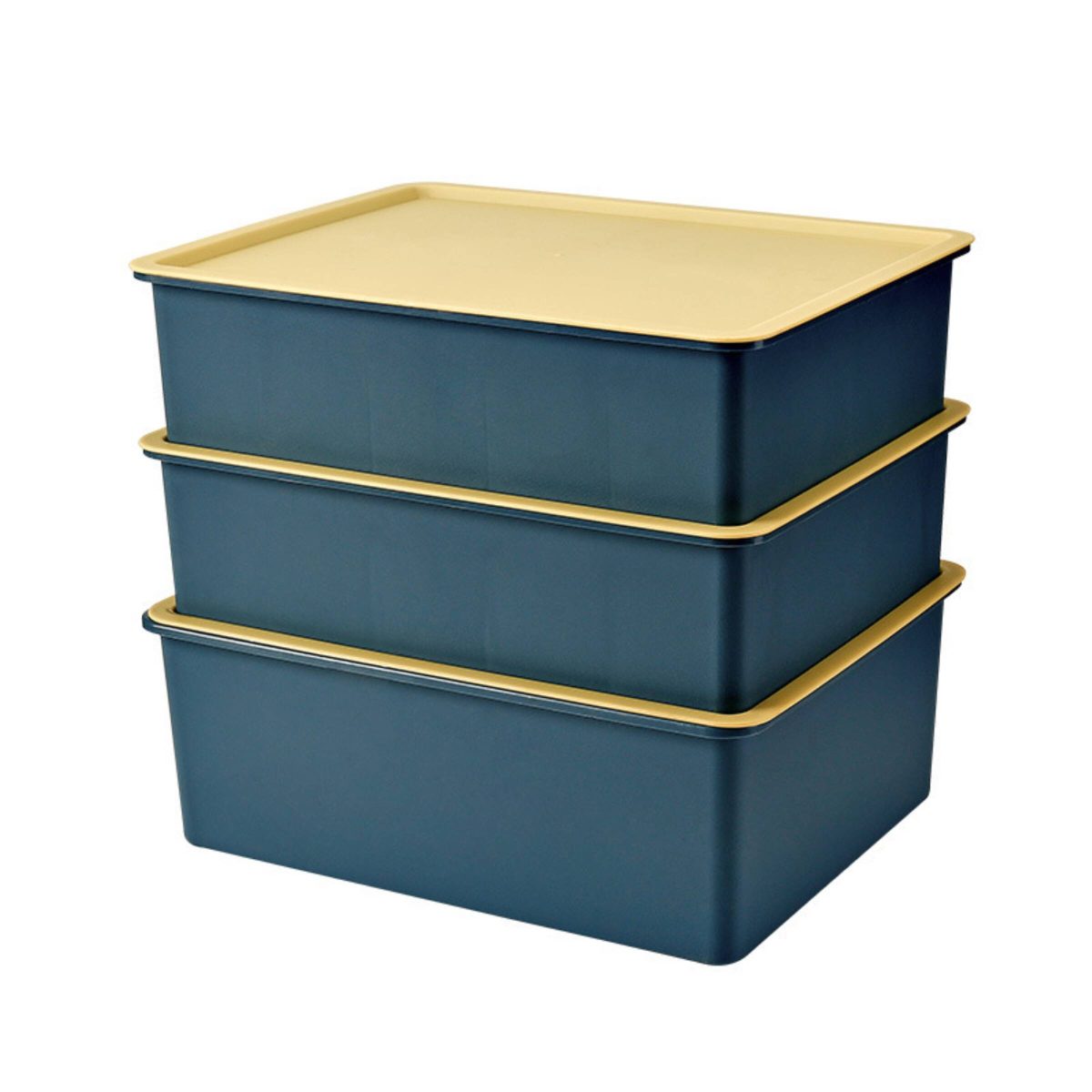Контейнер для хранения вещей с крышкой Nordic Tales Storage S Blue 9