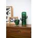 Набор из 6-ти стеклянных стаканов Doiy Saguaro, зеленый DYSAGUAGL