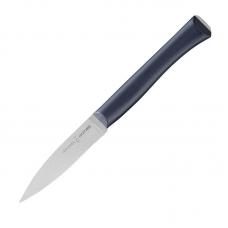 Нож столовый Opinel Newintempor пластиковая ручка нерж сталь 002223