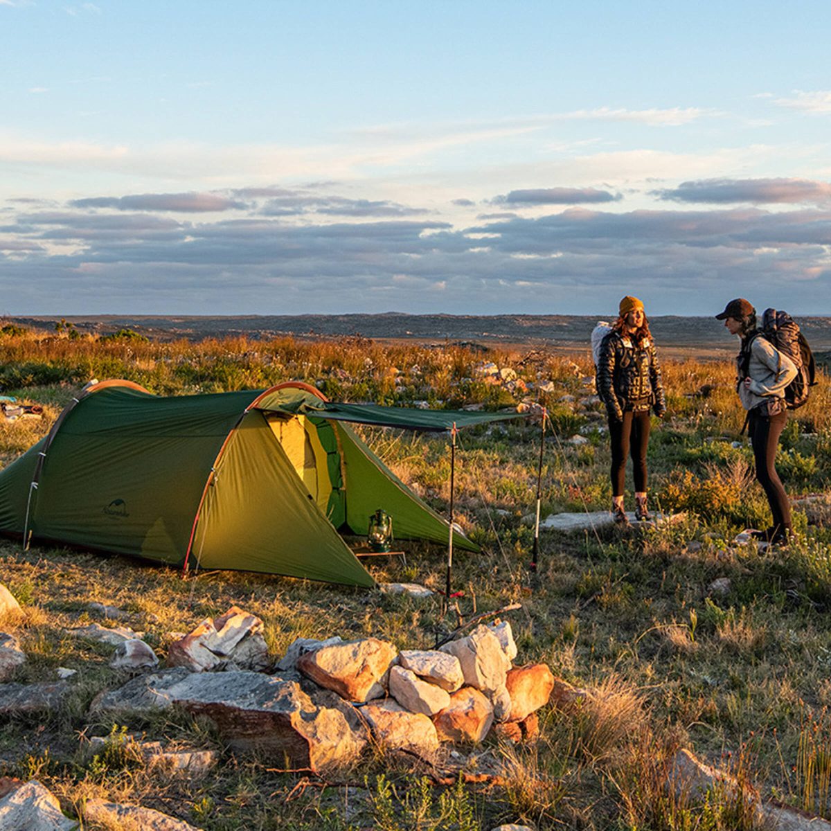 Палатка 2-местная Naturehike NH20ZP006 6927595761977, зелёная 8